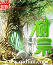 树宗封面