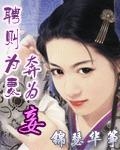 聘则为妻奔则妾封面