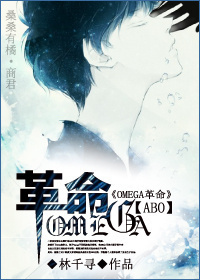 星际omega反击战封面