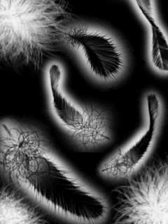 �������˷���