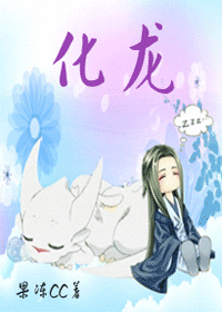 化龙封面