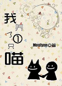 我养了一只喵封面