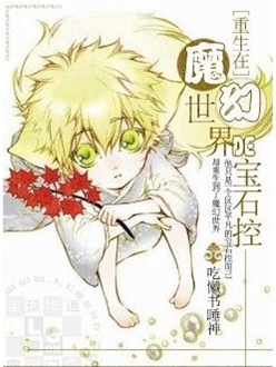 重生在魔幻世界的宝石控封面