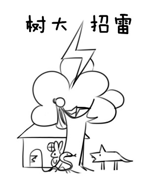 树大招雷封面