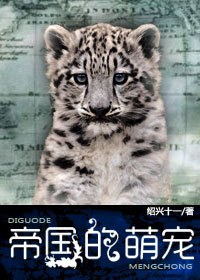 �۹����ȳ����