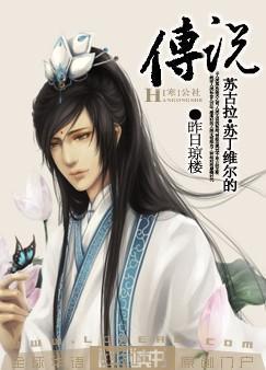 苏古拉·苏丁维尔的传说封面