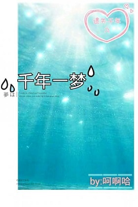 千年一梦封面