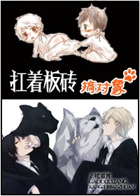 扛着板砖搞对象封面