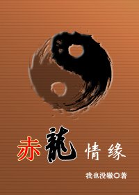 赤龙情缘封面