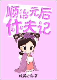 顺治皇后休夫记封面