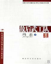 敌后武工队封面