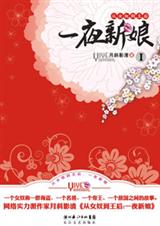 一夜新娘封面