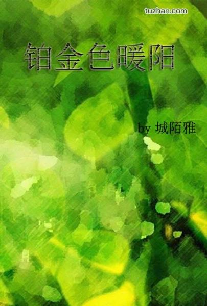 铂金色暖阳封面