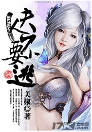 网游之夫人不要逃封面