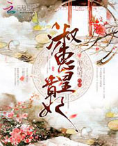 淑惠皇贵妃封面