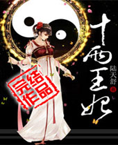十两王妃封面