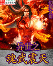 异世之魂武震天封面