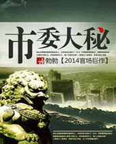 市委大秘封面