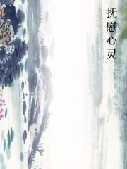 抚慰心灵封面