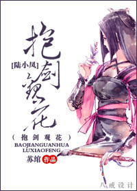 抱剑观花封面
