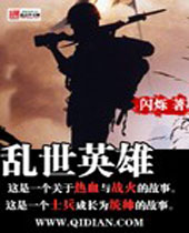乱世英雄封面