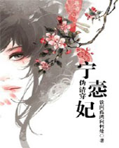 伪清穿之宁悫妃封面