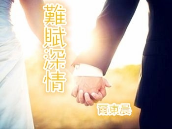难赋深情封面