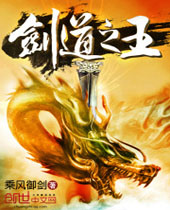 剑道之王封面