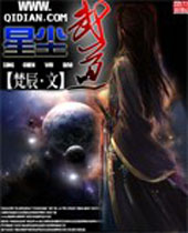 星尘武道封面