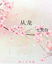 从龙封面
