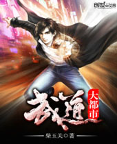 武道大都市封面
