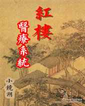 红楼医疗系统封面