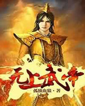 无上武帝封面