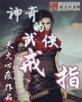 神奇的武侠戒指封面