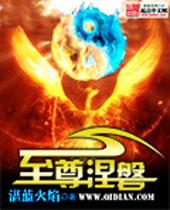 至尊涅磐封面