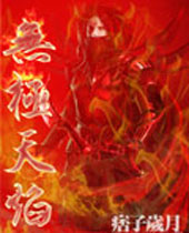 无极天焰封面