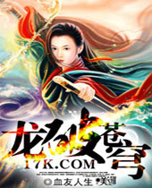 龙破苍穹封面