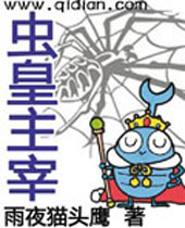 ������׷���