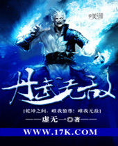 丹武无敌封面