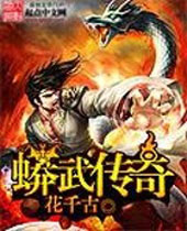 蟒武传奇封面