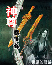 神尊转世录封面