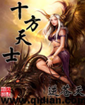 十方天士封面
