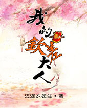 我的钦差大人封面