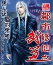 都市修仙之武道封面