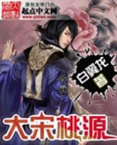 大宋桃源封面