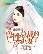 婚爱缠绵兽性总裁的小妻子封面