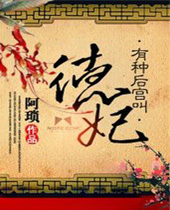 有种后宫叫德妃封面