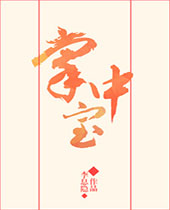 掌中宝封面