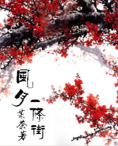 风月一条街封面