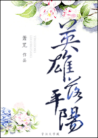 英雄落平阳封面